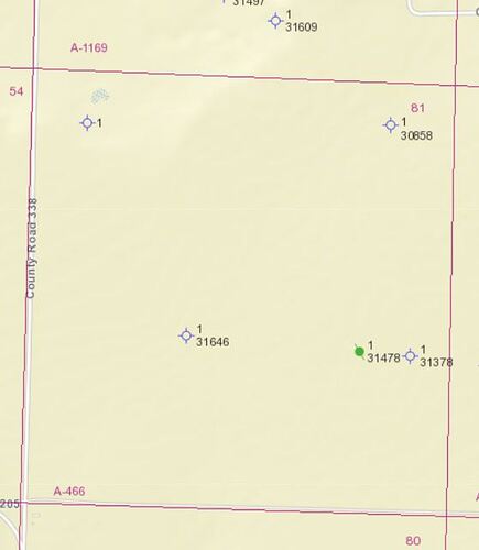 Leon County - Section 81, Blk 20 Enlarged